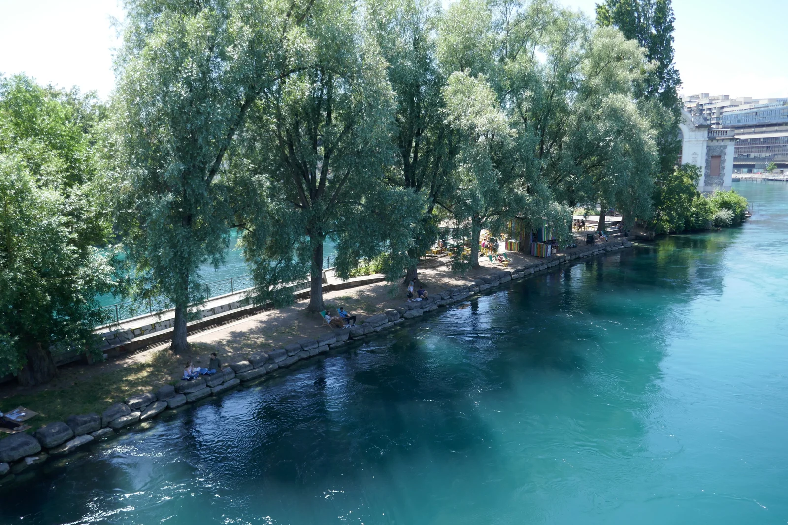 Promenade des Lavandières à Genève, la terrasse de la Barje sous les arbres au bord du Rhône